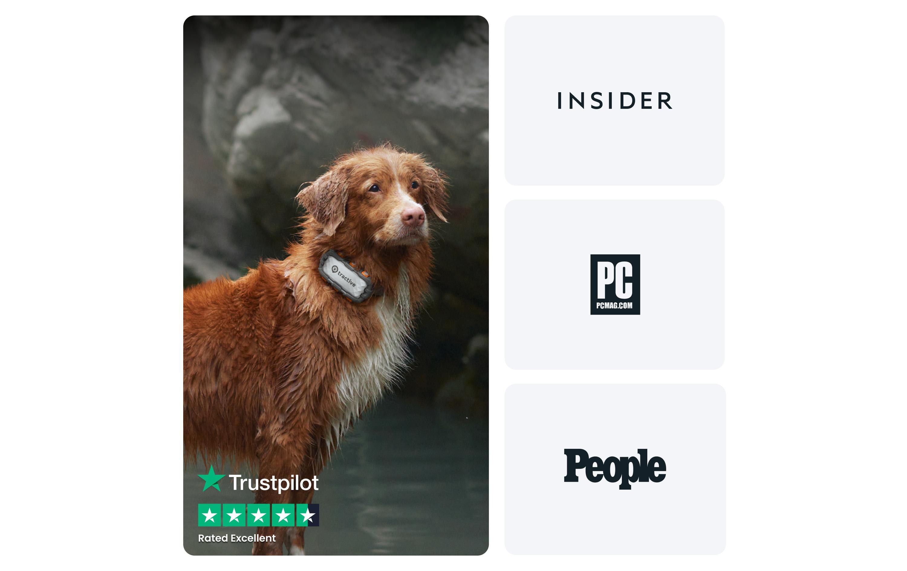 tractive GPS-Tracker DOG XL Adventure Edition, Grau