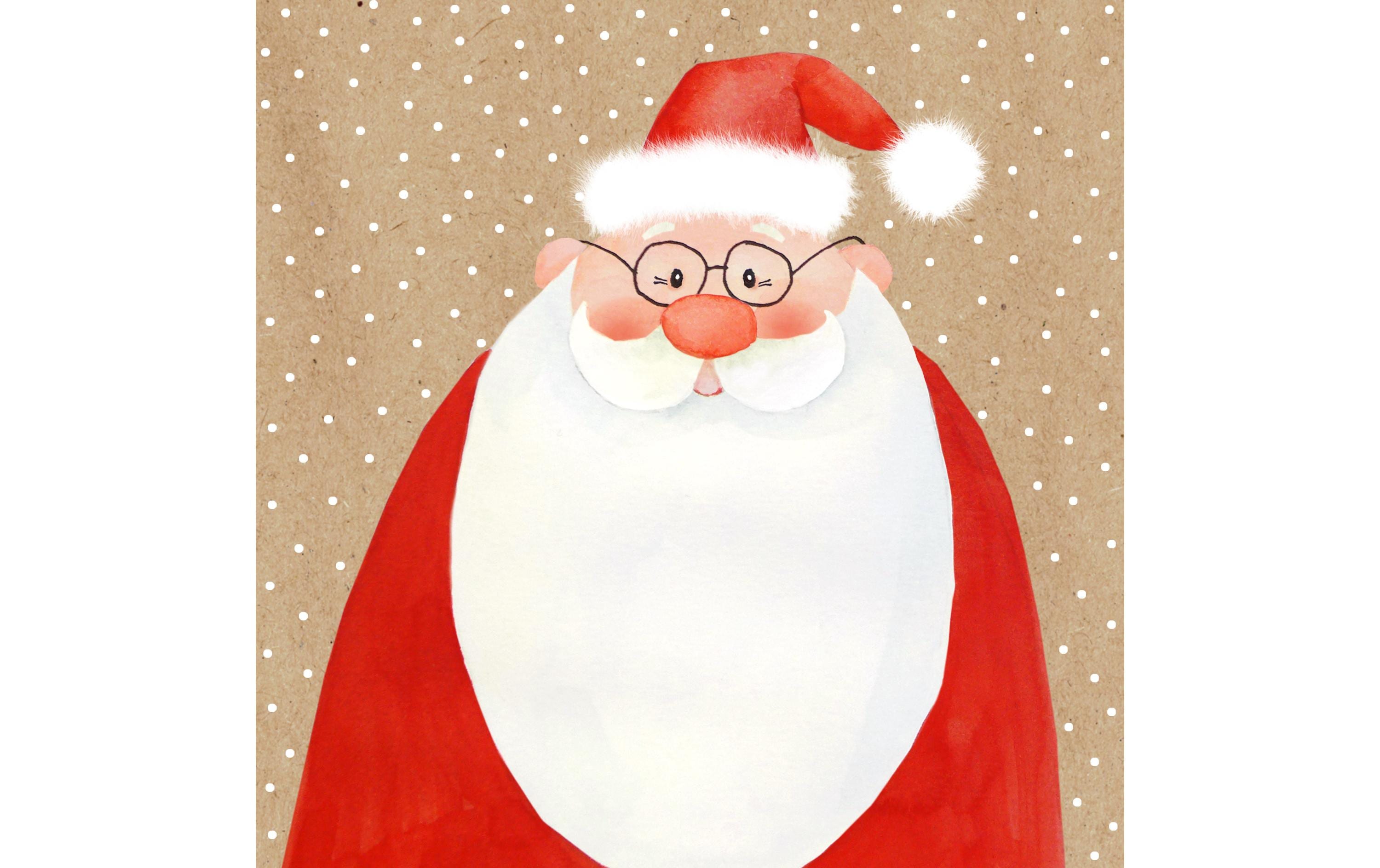 Braun + Company Weihnachtsservietten Lieber Nikolaus 33 cm x 33 cm, 20 Stück