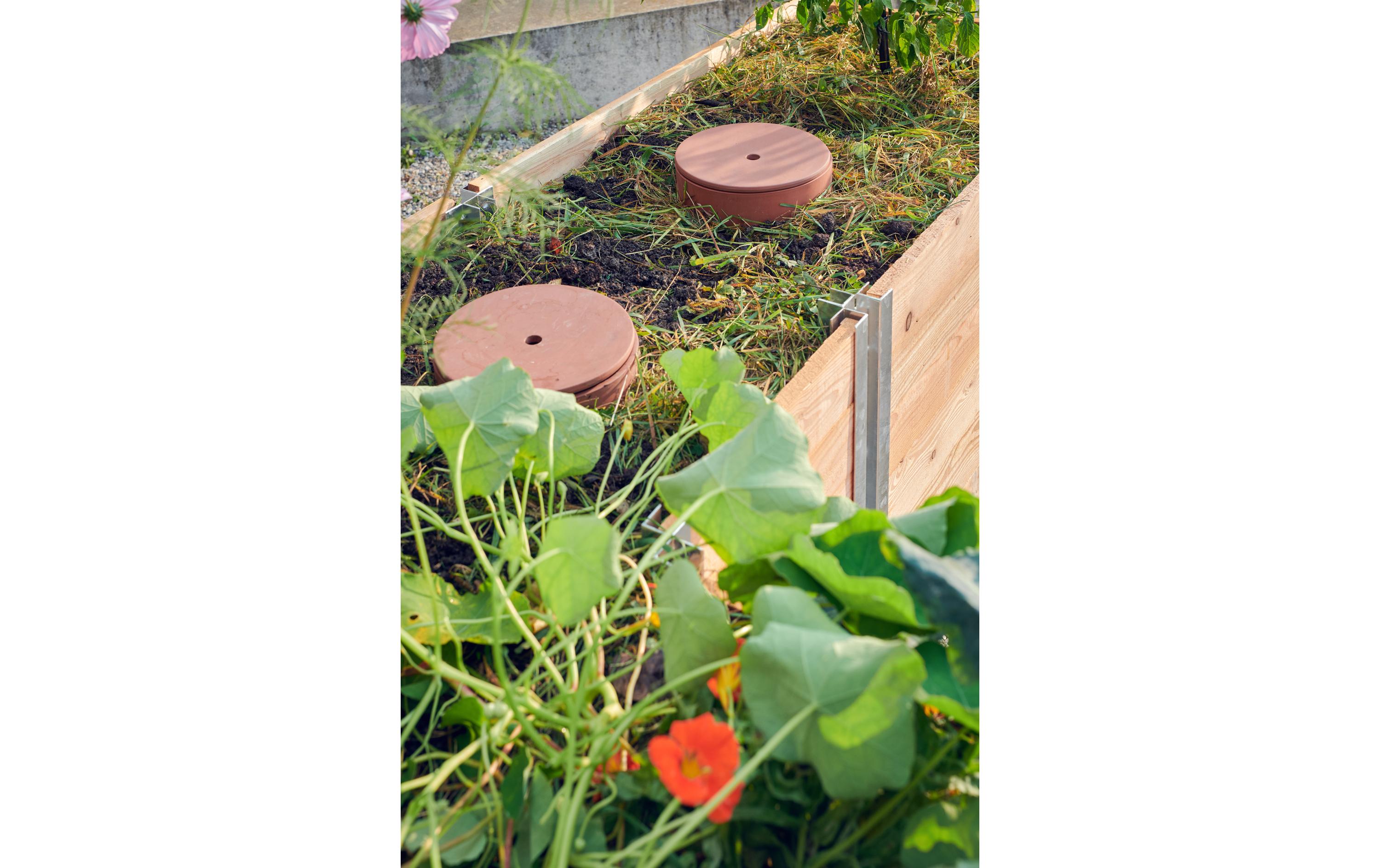 WormUp Kompoströhre TUBE