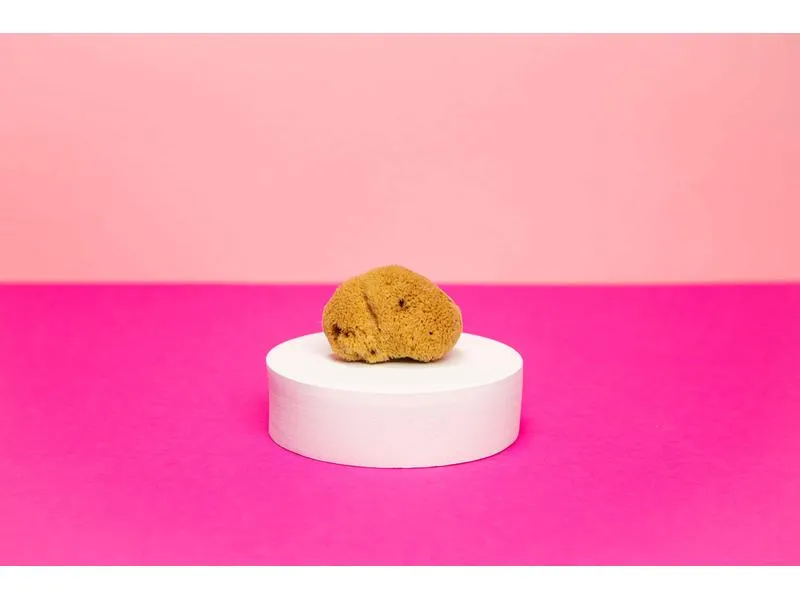 Hera Organics Menstruationsschwamm Grösse L 3 Stück Hera Organics Menstruationsschwamm Grösse L 3 Stück