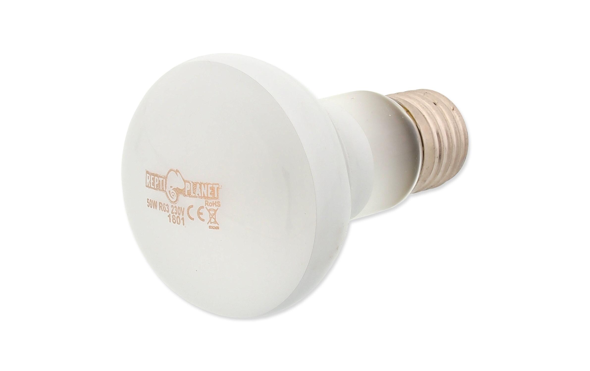 Repti Planet Terrarienlampe Daylight Frosted 50 W