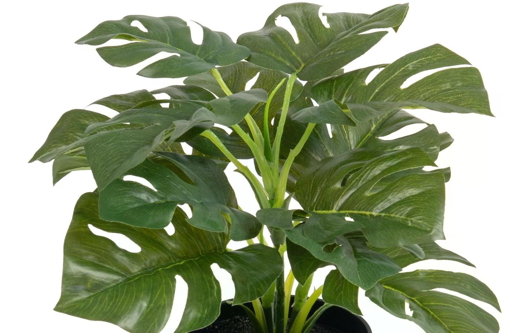 Botanic-Haus Kunstpflanze Philodendron im Topf 28 cm