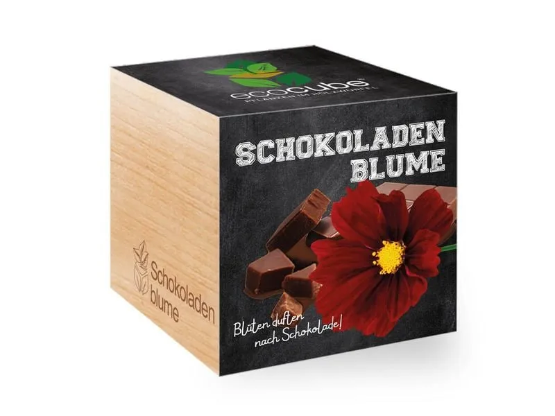 Feel Green Ecocube Schokoladenblume