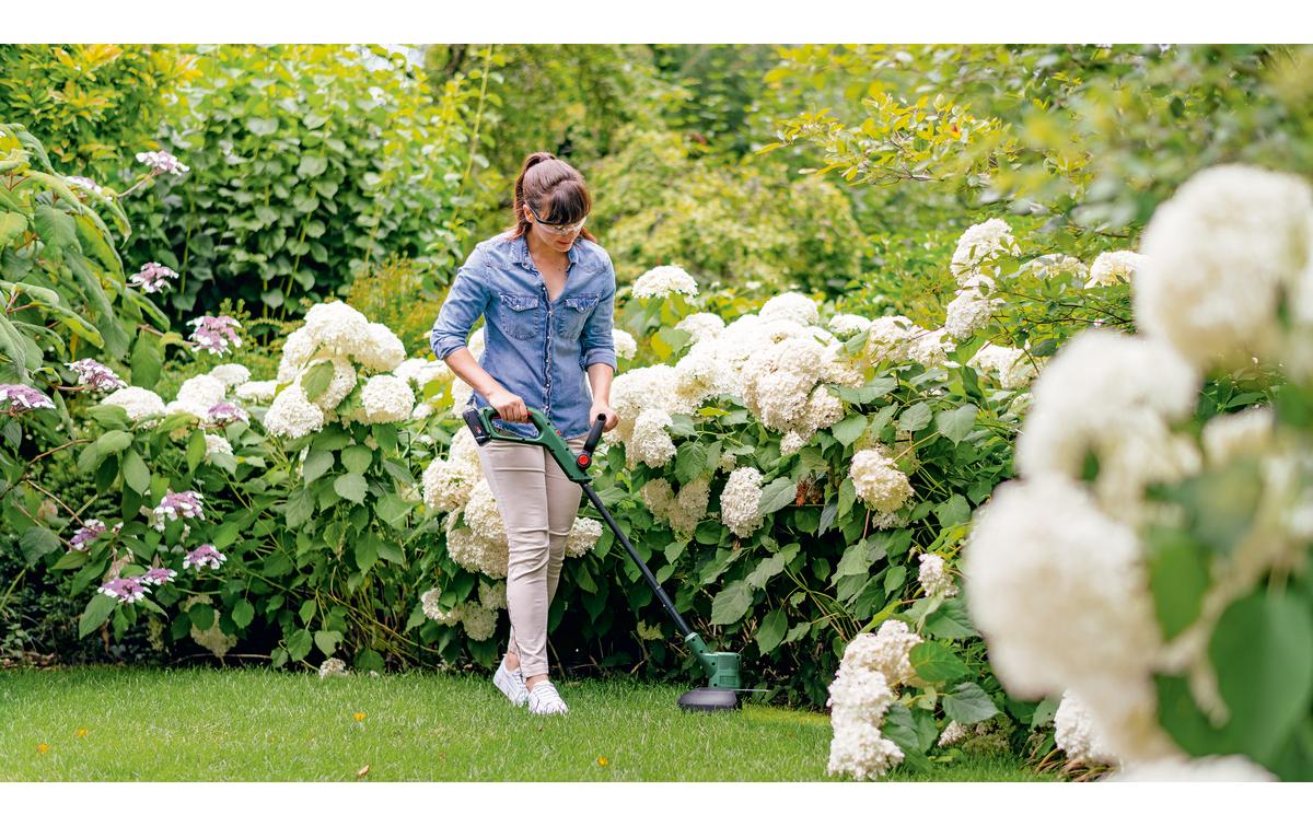 Bosch Akku-Rasentrimmer EasyGrassCut 18 V - 230 Set