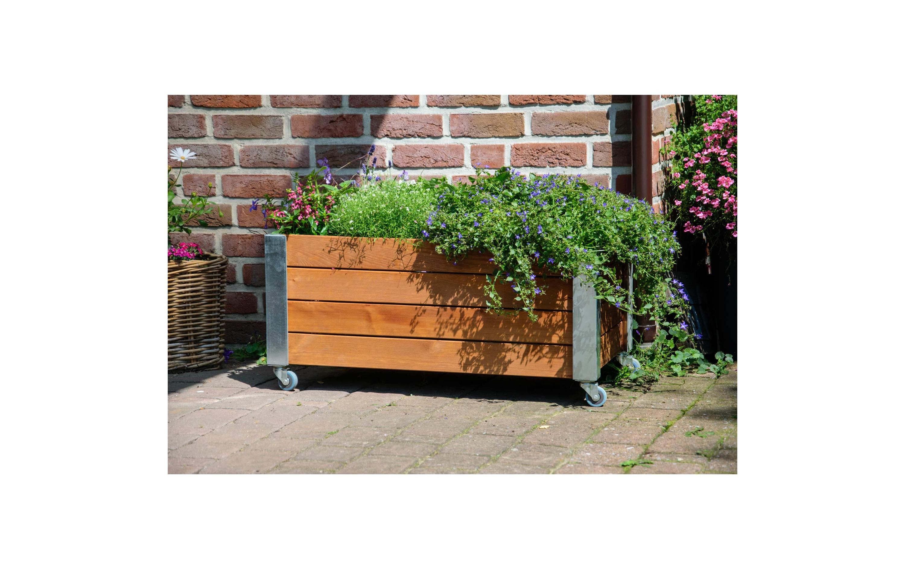 dobar Hochbeet «Rollfi» aus Holz mit Rollen