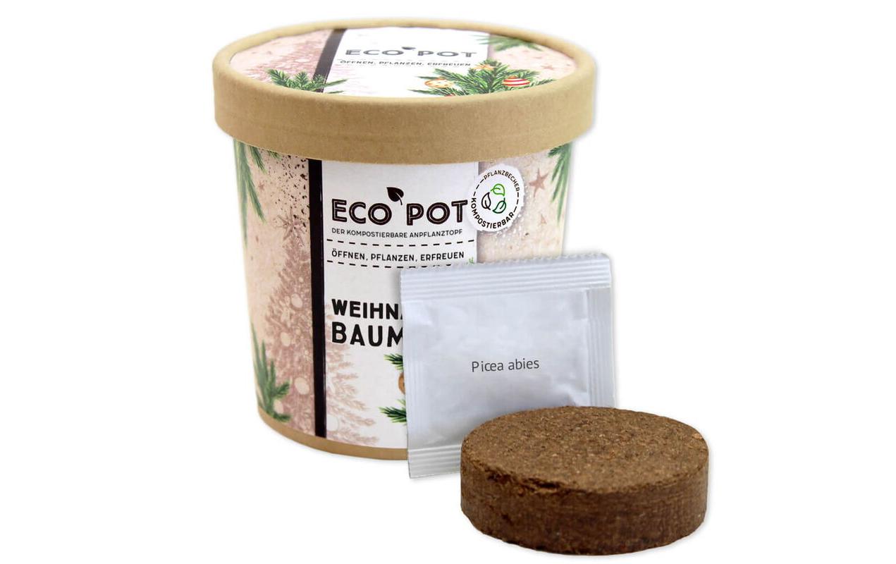 Feel Green EcoPot Weihnachtsbaum Feel Green EcoPot Weihnachtsbaum