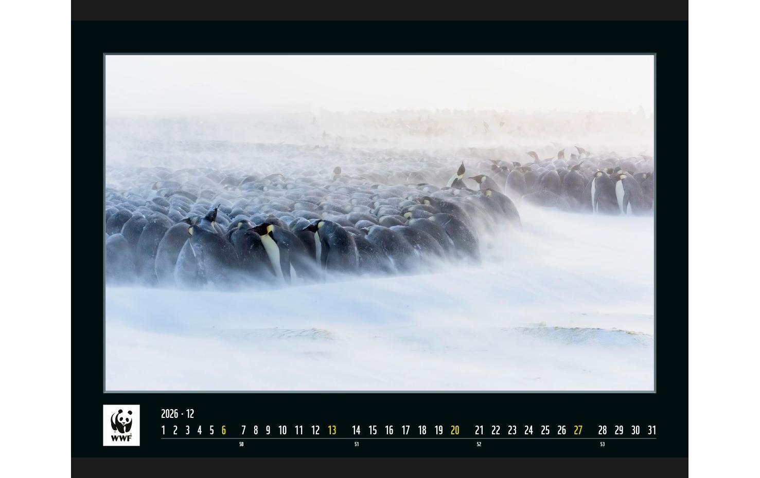 Calendaria Bildkalender 2025 WWF Wildlife