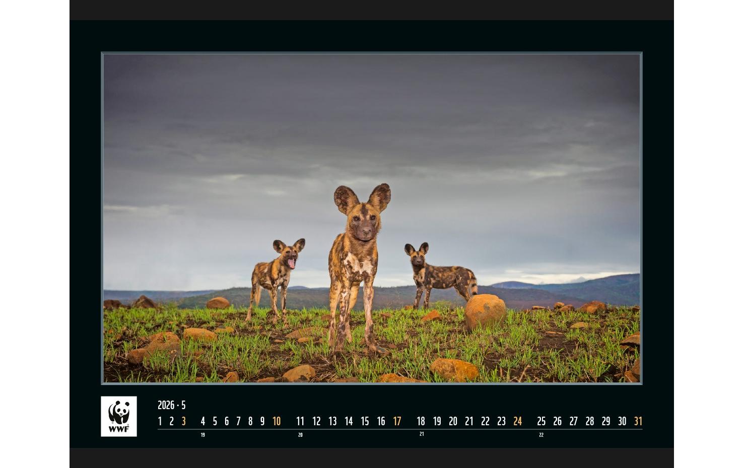 Calendaria Bildkalender 2025 WWF Wildlife Calendaria Bildkalender 2025 WWF Wildlife