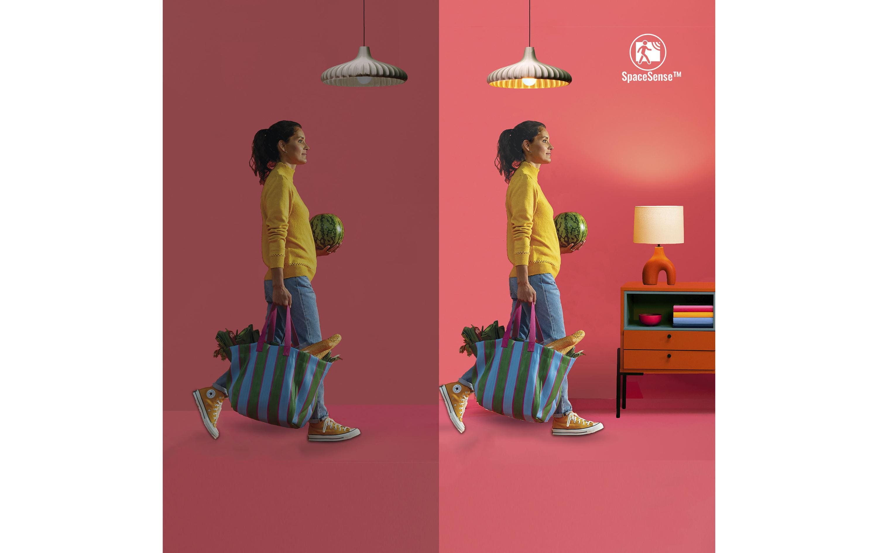 WiZ Smart Plug CH, Matter / WLAN