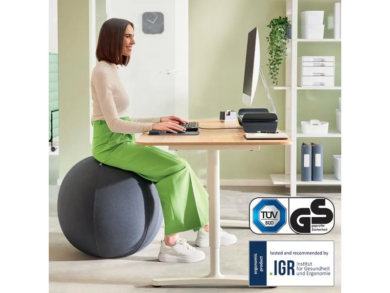 Leitz Sitzball Ergo Active 65 cm Leitz Sitzball Ergo Active 65 cm