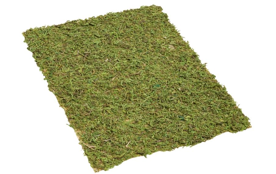 HobbyFun Moos Matte 20 cm x 30 cm HobbyFun Moos Matte 20 cm x 30 cm