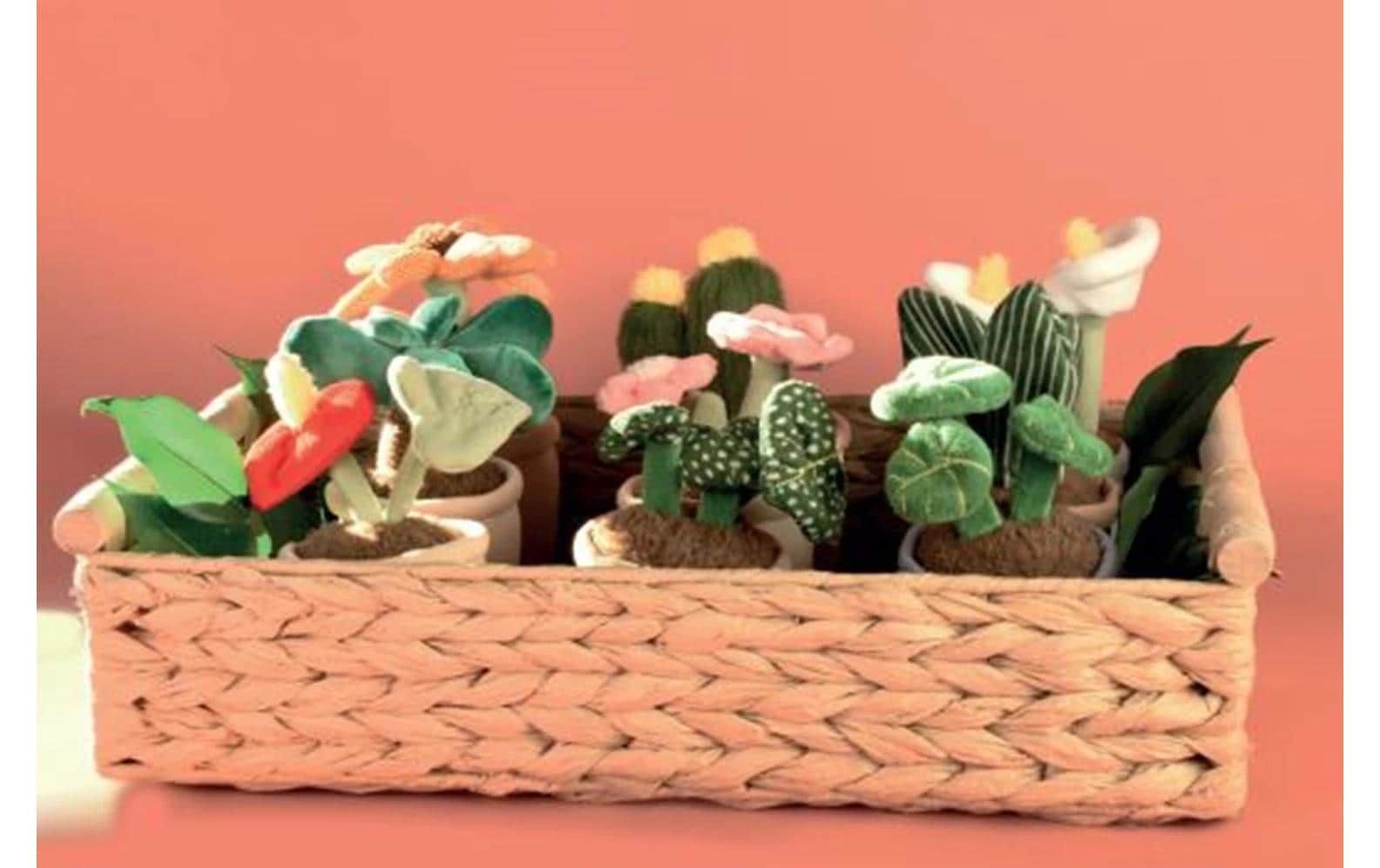 DouDou et compagnie Blumen ass 9 x 1 Assortiert