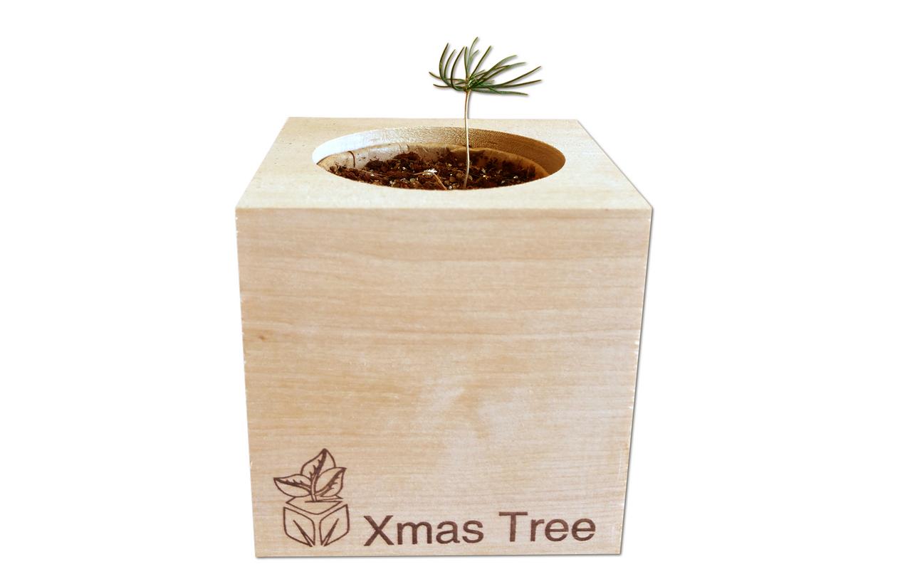 Feel Green Ecocube Weihnachtsbaum