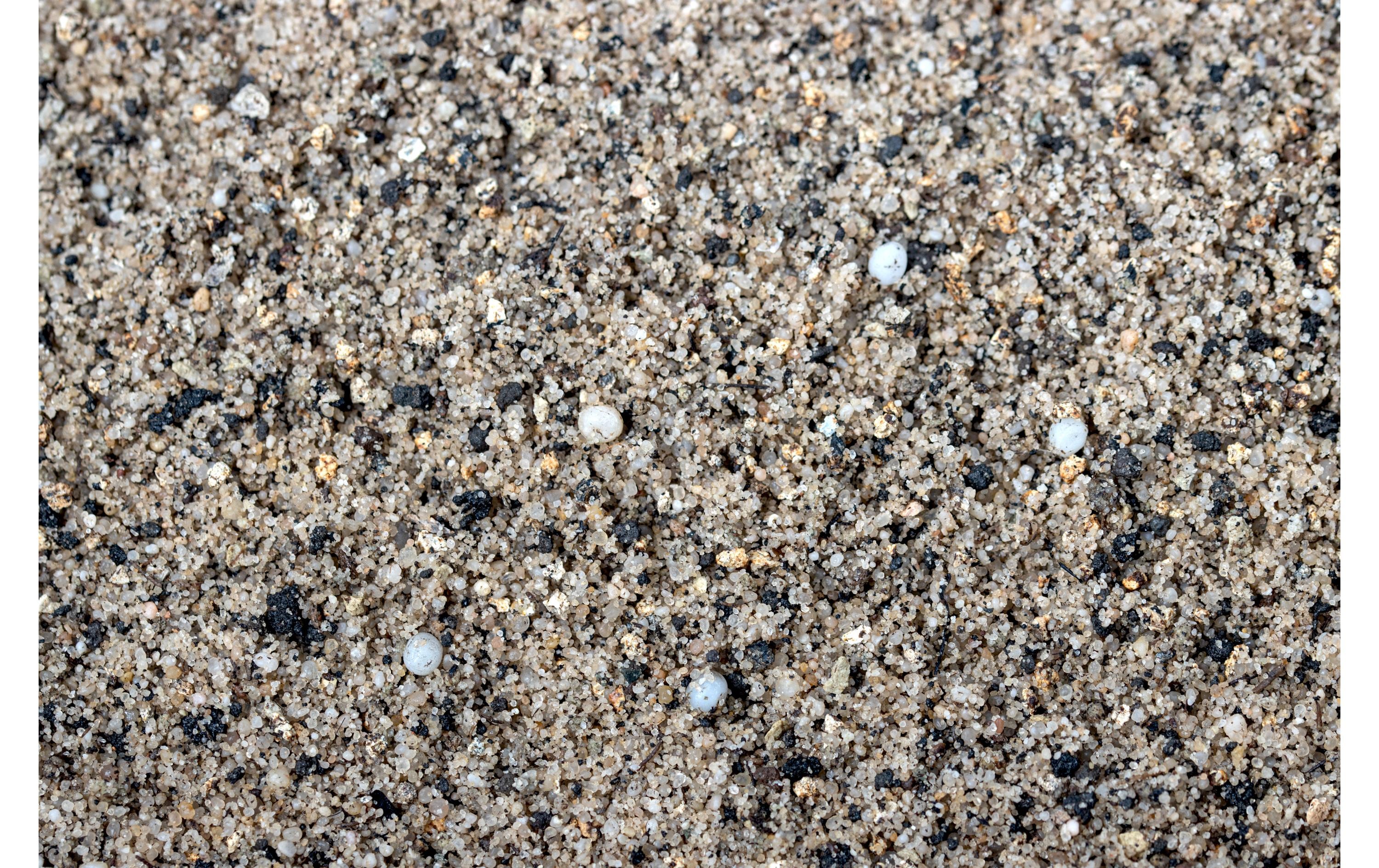 Dennerle Nährboden Deponit-Mix Professional 10 in 1, 2.4 kg