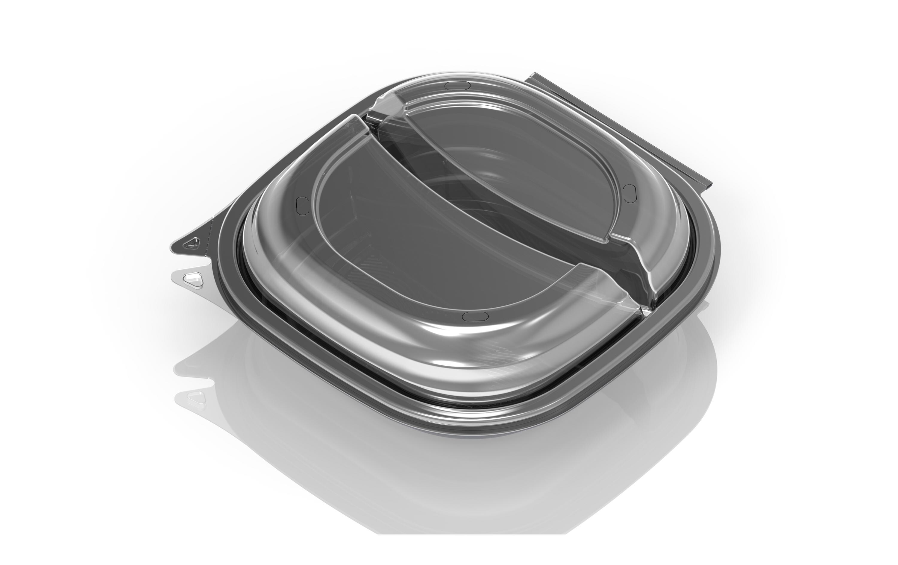 Duni Einweg-Schale Vista 25 Stück, 2-teilung, 670/460 ml