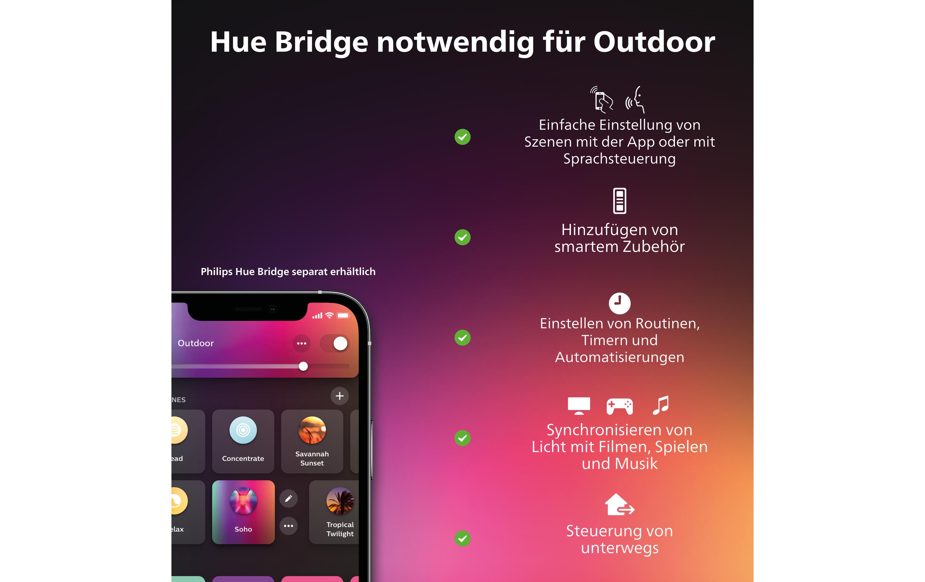 Philips Hue White & Color Ambiance Outdoor Daylo Wandleuchte Silber
