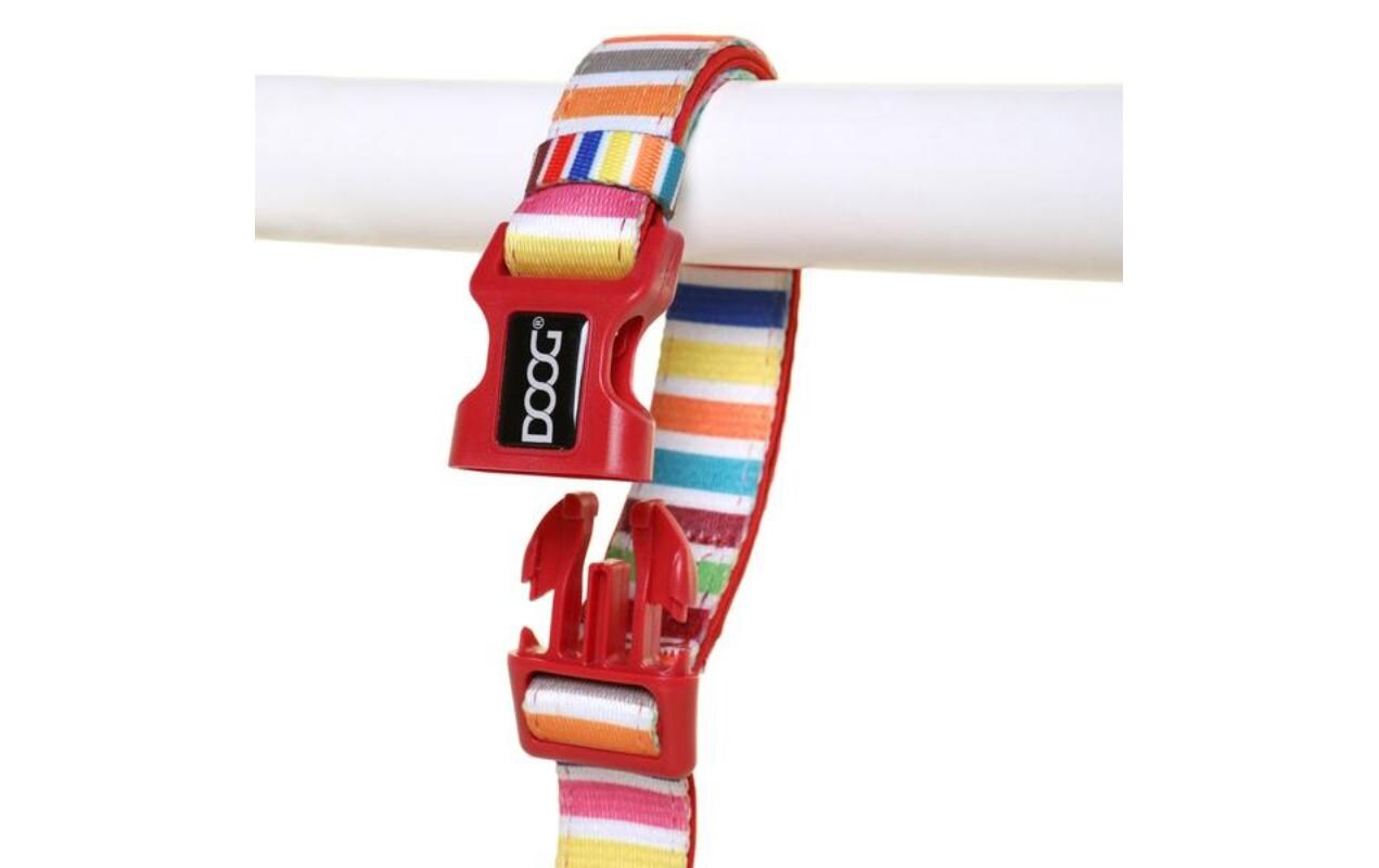 Doog Halsband Scooby L Multicolor gestreift Doog Halsband Scooby L Multicolor gestreift