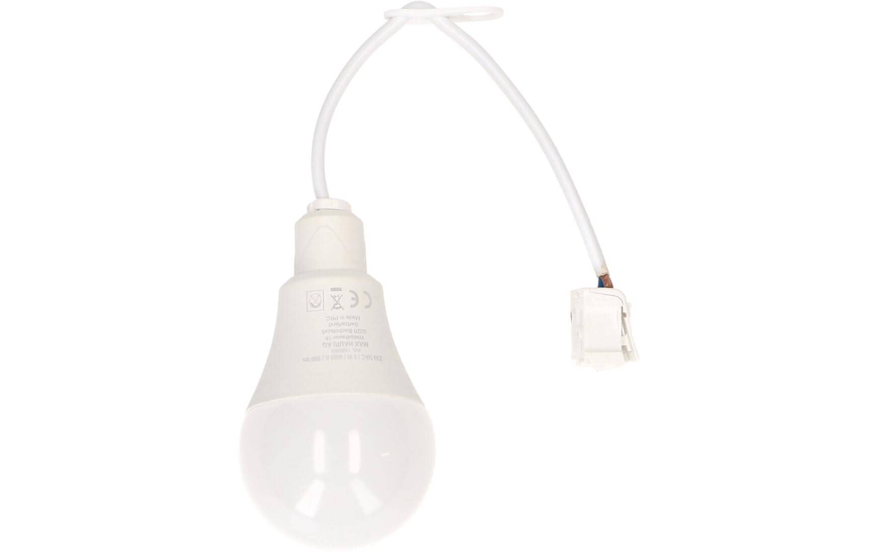 Max Hauri Baustellenlampe LED 4000K, 10 Stück