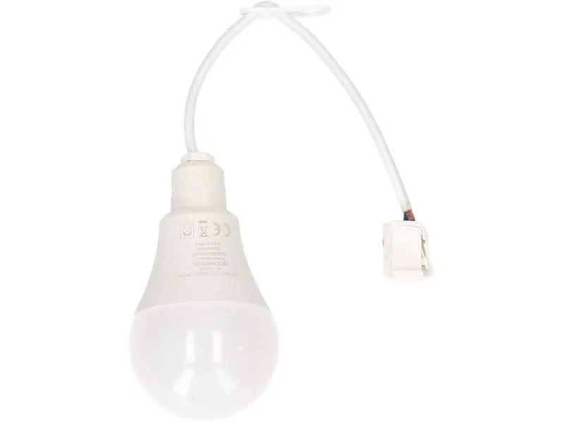 Max Hauri Baustellenlampe LED 4000K, 10 Stück Max Hauri Baustellenlampe LED 4000K, 10 Stück