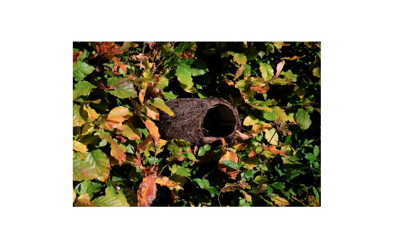 Wildlife World Nistkasten Rotkehlchen Wildlife World Nistkasten Rotkehlchen