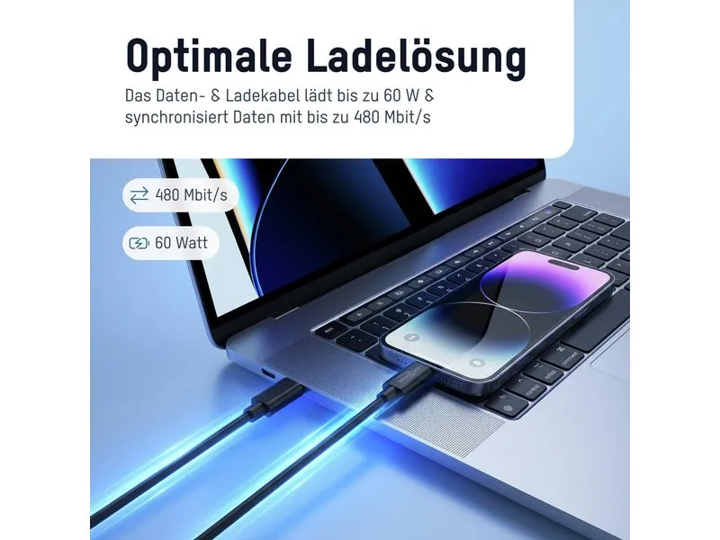 Ansmann USB Typ-C zu Typ-C Daten und Ladekabel 200 cm Ansmann USB Typ-C zu Typ-C Daten und Ladekabel 200 cm
