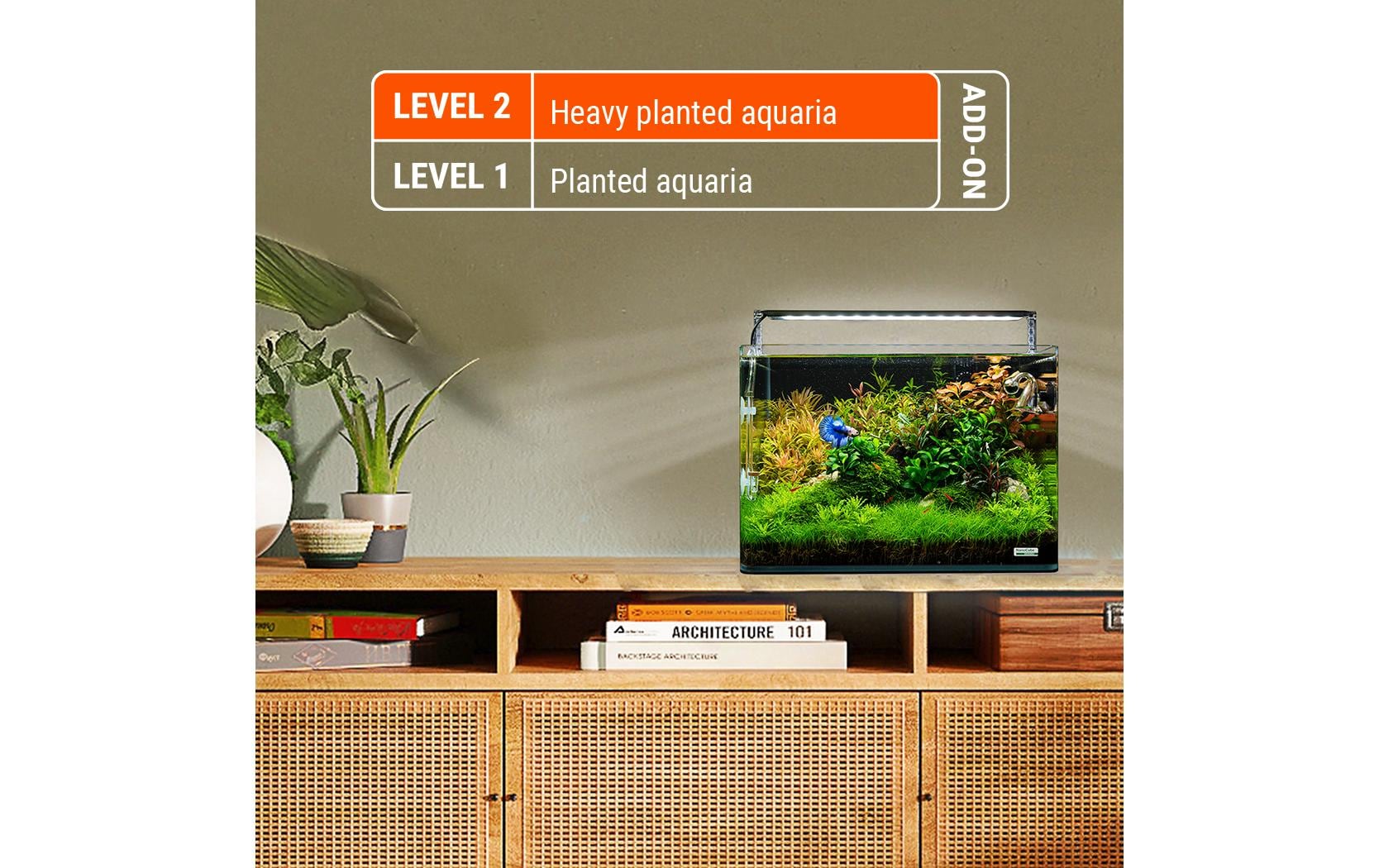 Dennerle Pflanzendünger Plant Care P, 250 ml