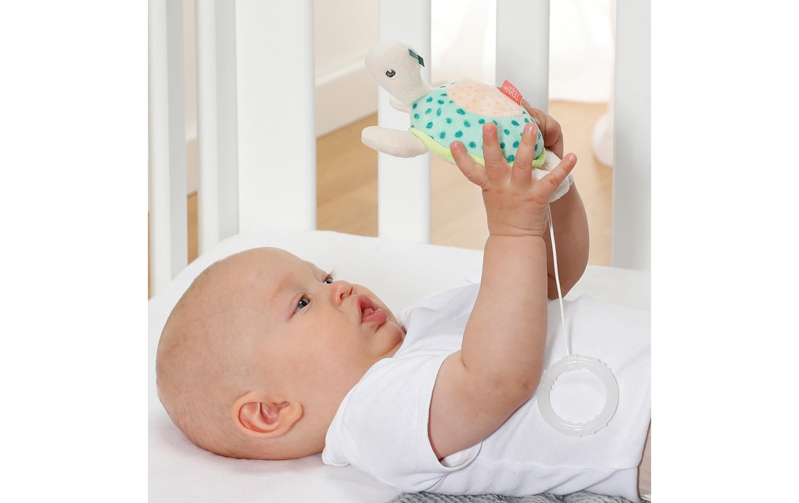 fehn Spieluhr Mini Schildkröte