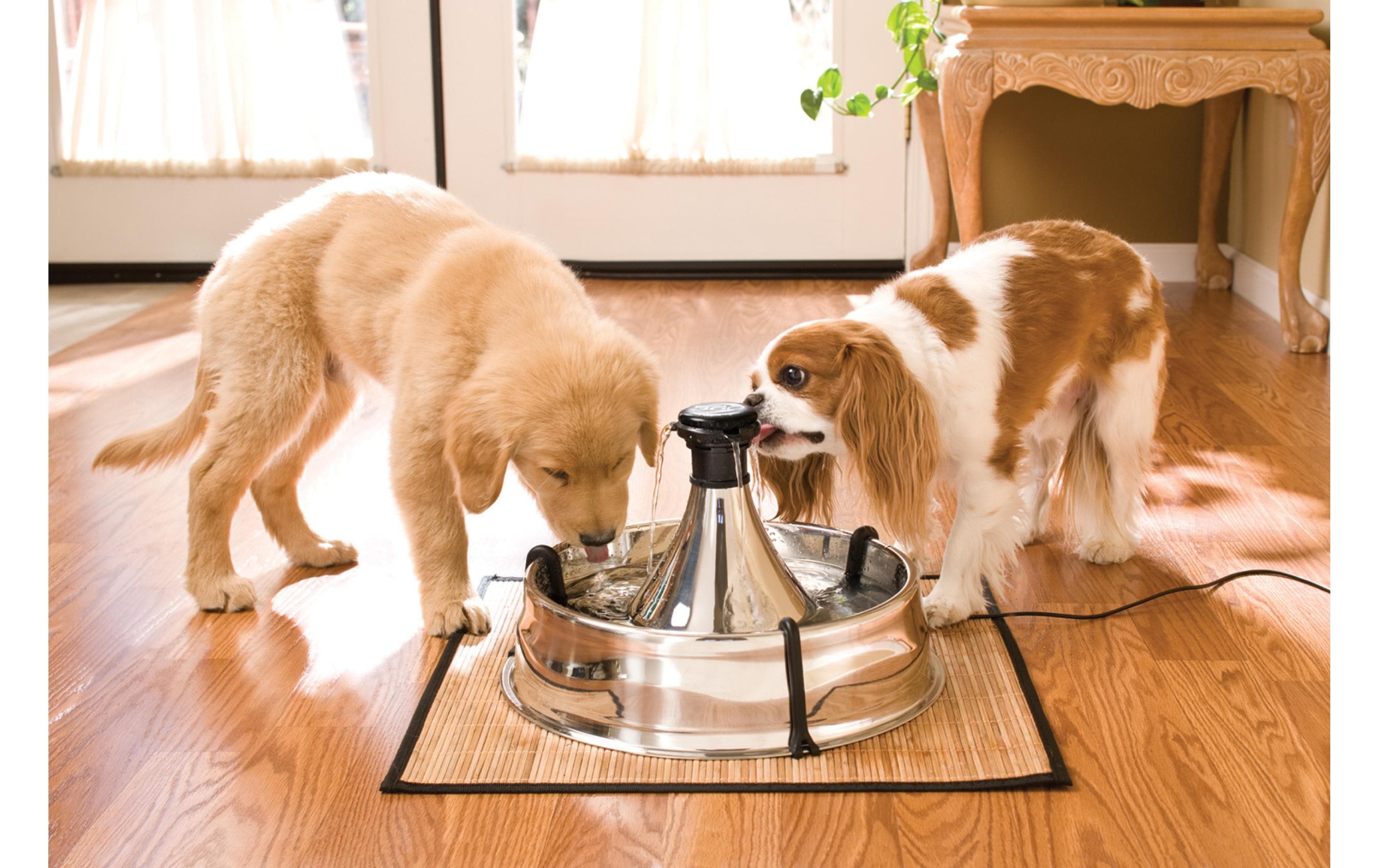 PetSafe Wasserautomat Drinkwell Edelstahl-Trinkbrunnen 360, 3.8 l