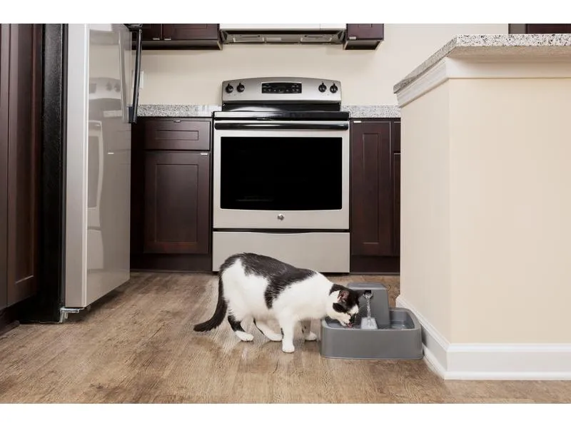 PetSafe Wasserautomat Drinkwell Trinkbrunnen PET, 3.7 l