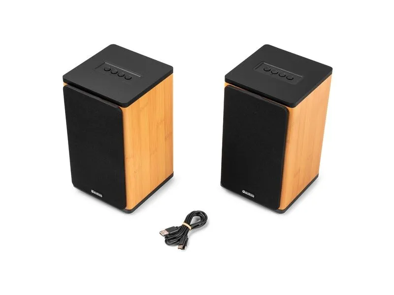 Audizio Regallautsprecher BS20-BM 50W, BT, Akku, bamboo Bambus