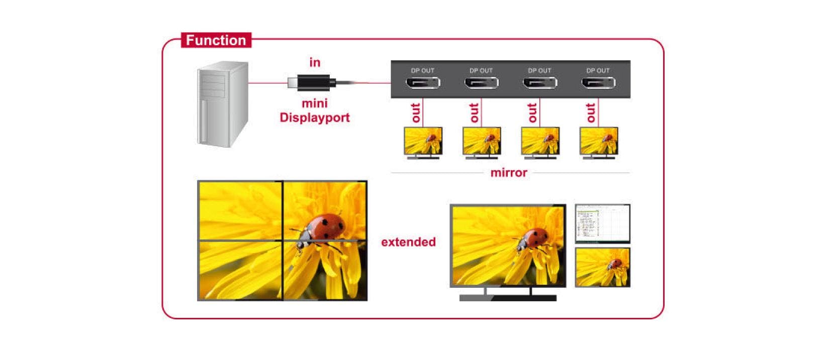 Delock 4-Port Signalsplitter & Extender Mini-DP – DP Delock 4-Port Signalsplitter & Extender Mini-DP – DP
