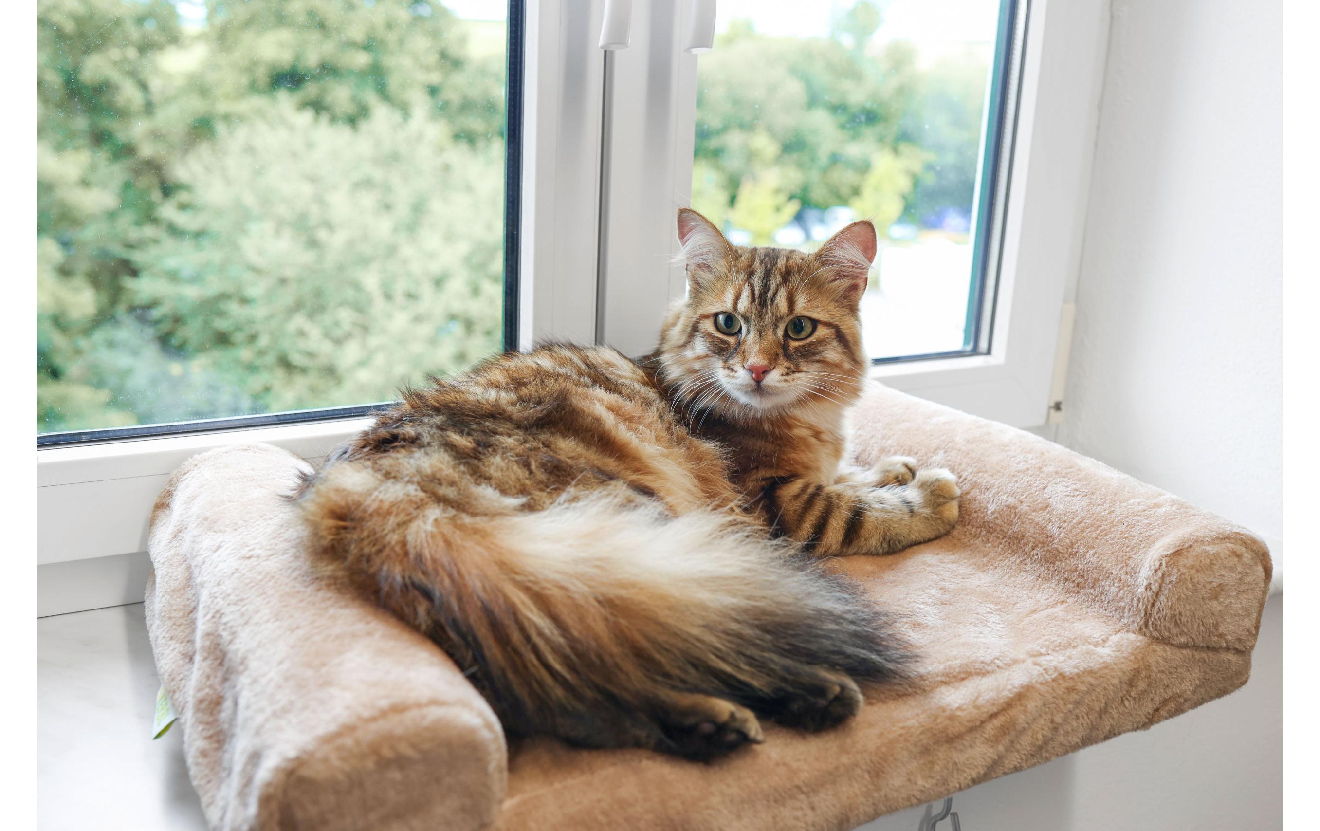 Kerbl Liegeplatz Fensterliegebrett 55 x 35 cm