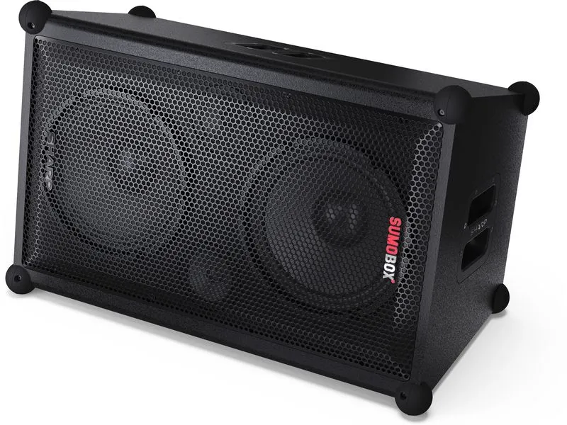 Sharp Bluetooth Speaker CPLS200 8h Akku Sharp Bluetooth Speaker CPLS200 8h Akku