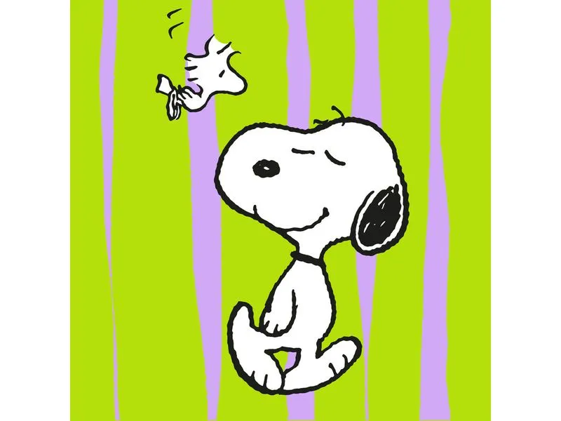 Braun + Company Snoopy Grün 20 Stück