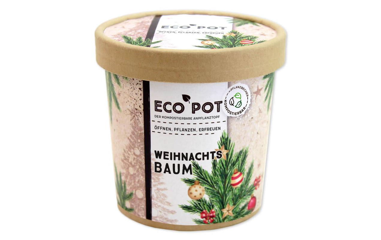 Feel Green EcoPot Weihnachtsbaum Feel Green EcoPot Weihnachtsbaum