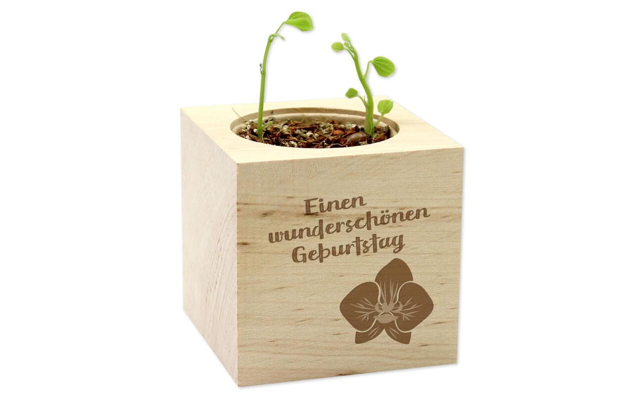 Feel Green Green Celebrations Orchideenbaum