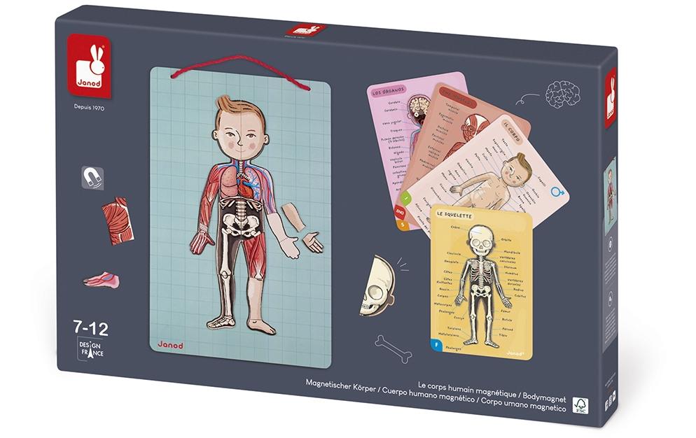 Janod Kinderspiel Magnetspiel Körper