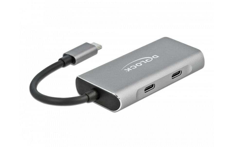 Delock USB 3.1 Hub