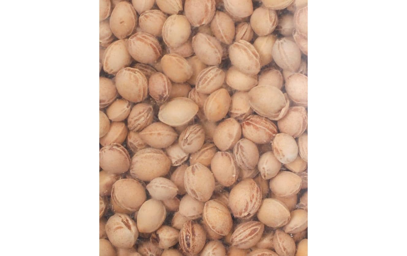 I AM CREATIVE Kirschkerne 500 g I AM CREATIVE Kirschkerne 500 g