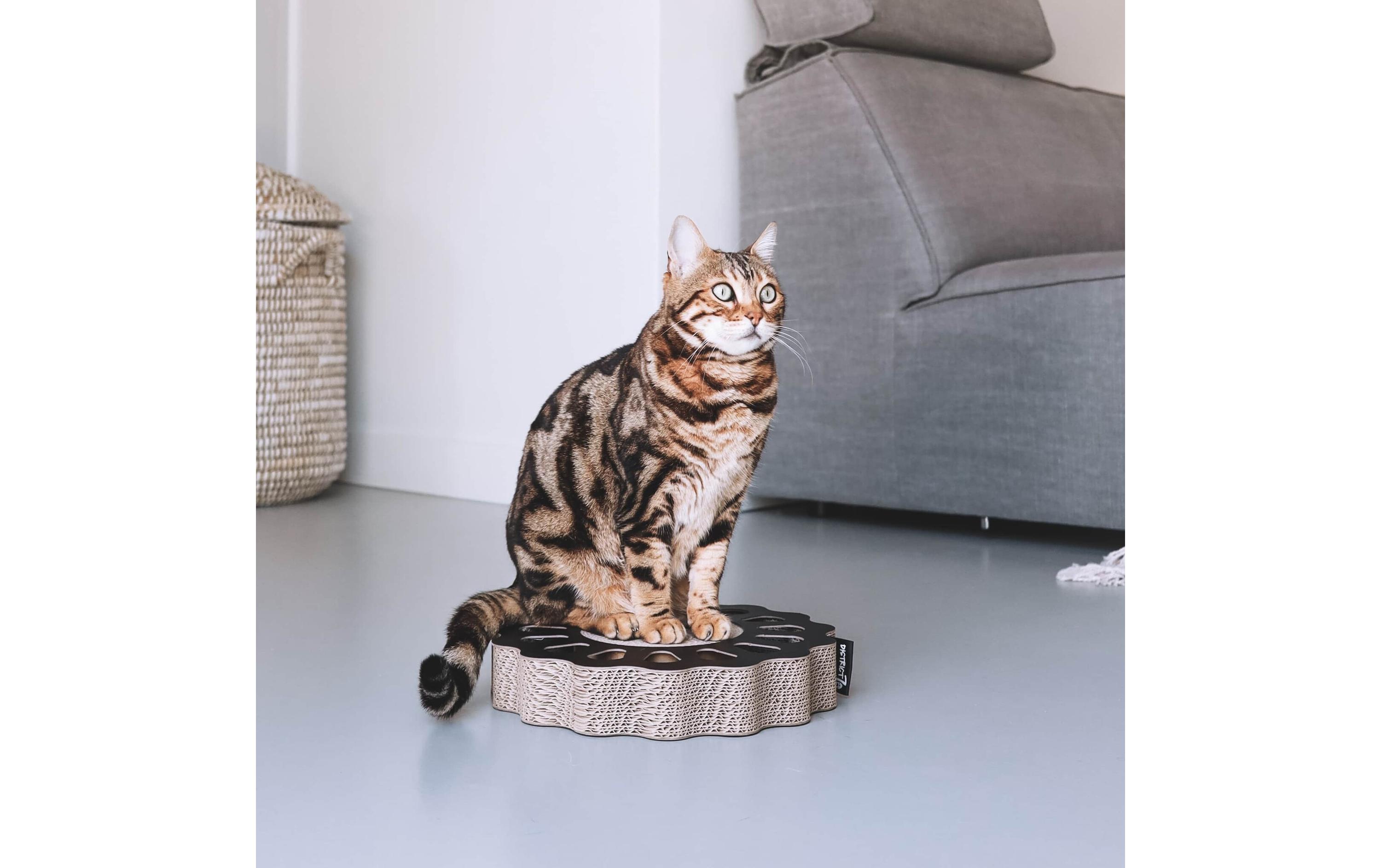 District 70 Katzen-Spielzeug Spielboard Sunny Black, 32 x 32 x 6 cm