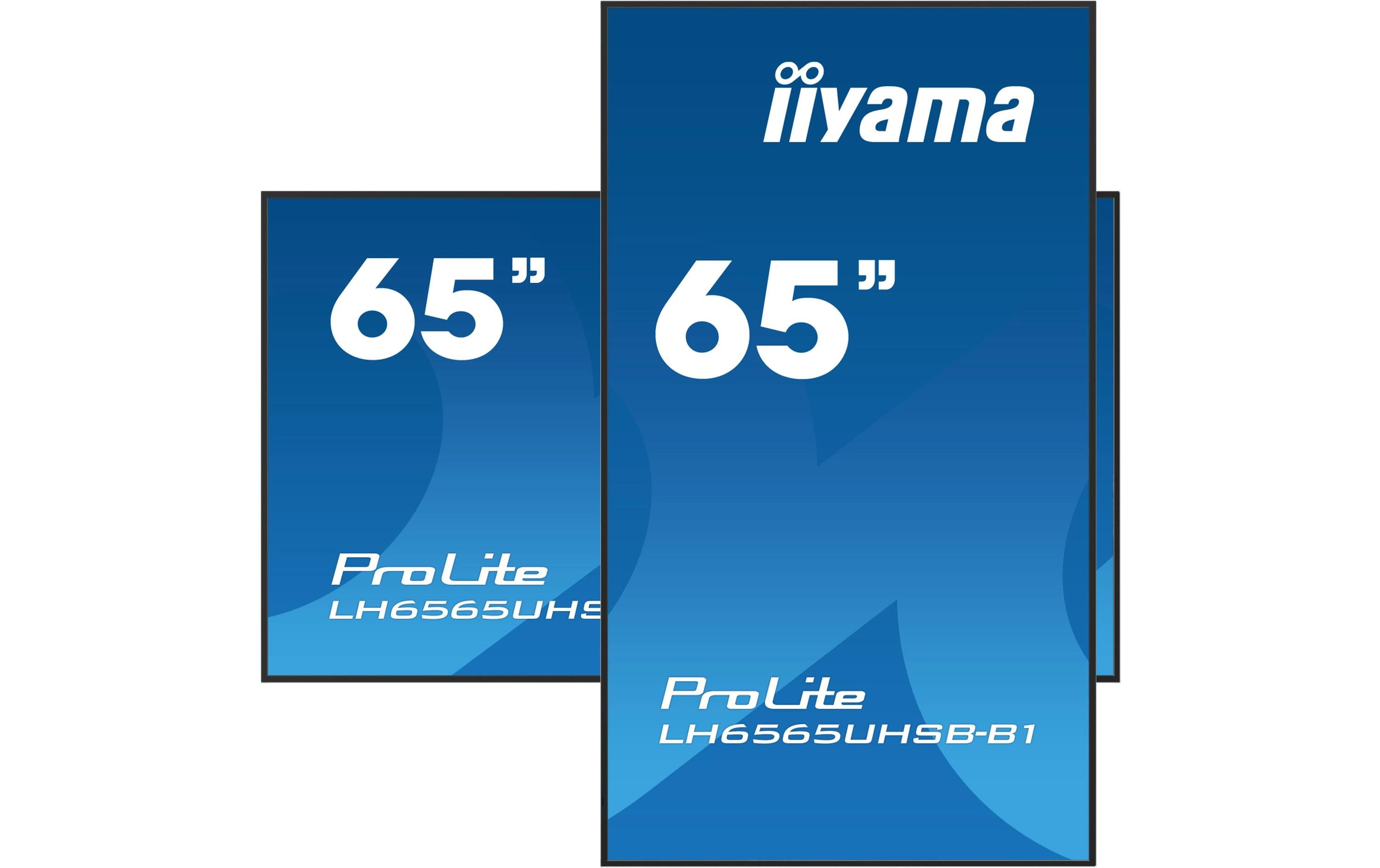 iiyama Public Display Pro Lite LH6565UHSB-B1 64.5