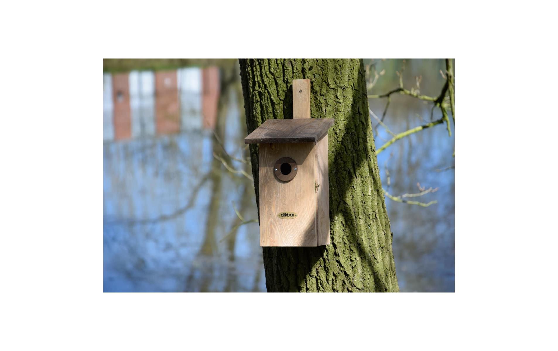 dobar Beobachtungskasten Einblick, 17 x 23 x 39 cm, Braun