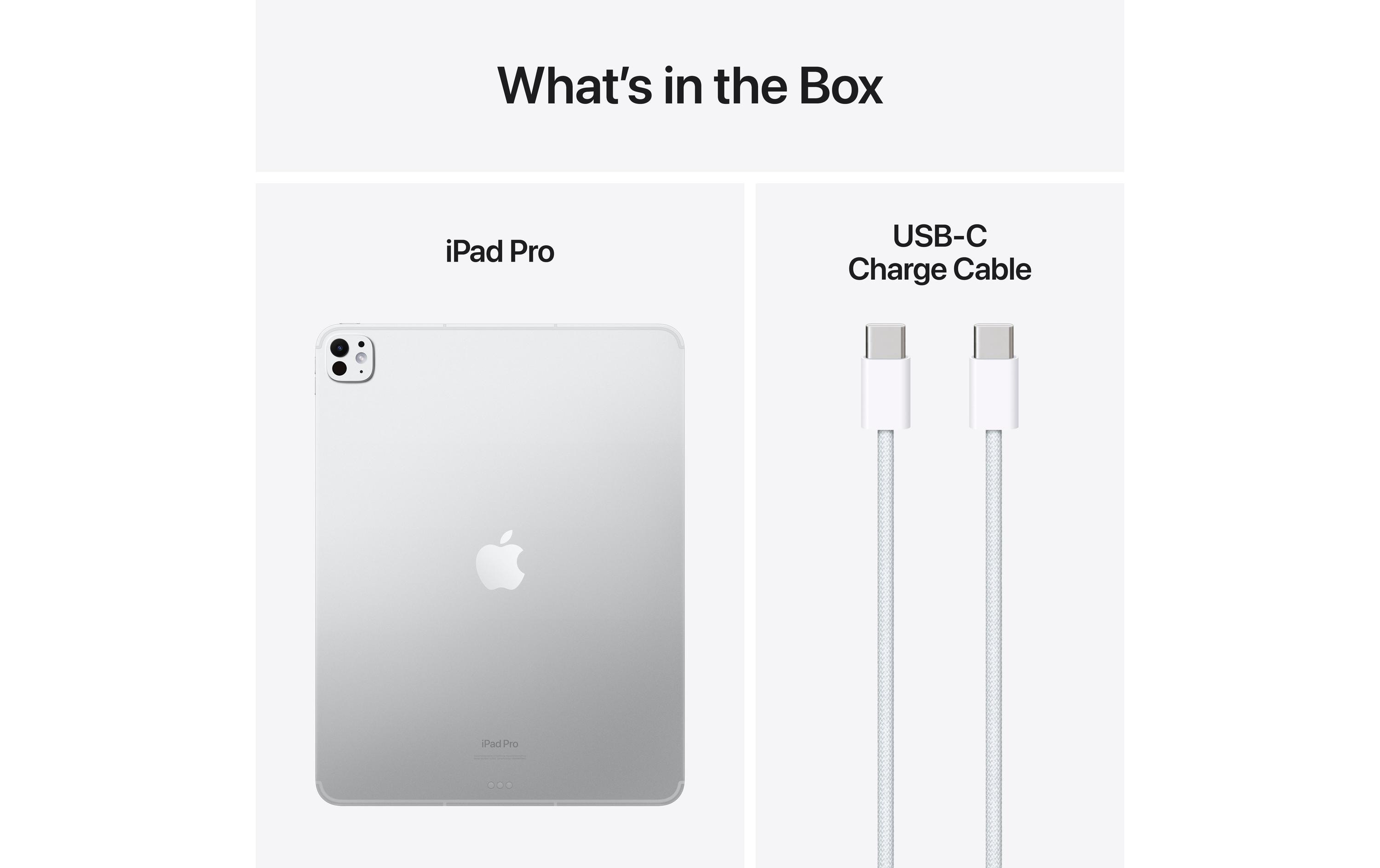 Apple iPad Pro 13 M4 Nano Cellular 2024 2000 GB Silber