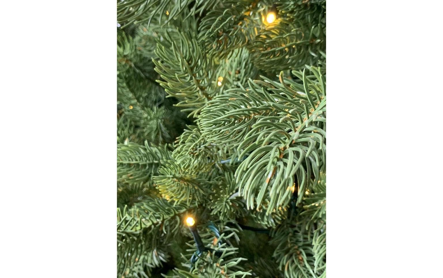 Botanic-Haus Weihnachtsbaum De Luxe 144 LEDs Easy Shape 90 cm Botanic-Haus Weihnachtsbaum De Luxe 144 LEDs Easy Shape 90 cm