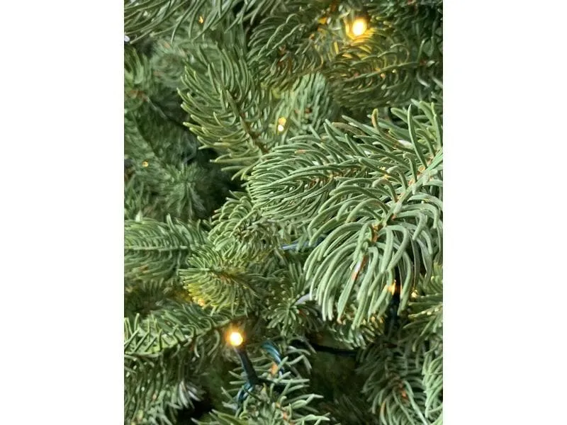 Botanic-Haus Weihnachtsbaum De Luxe 144 LEDs Easy Shape 90 cm