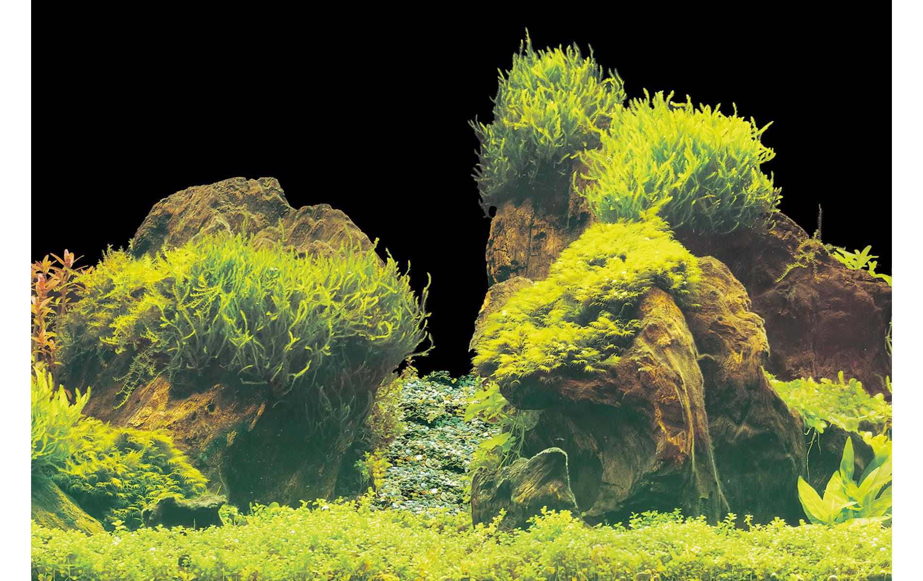 SuperFish Rückwandfolie Deko Poster E6 150 x 61 cm SuperFish Rückwandfolie Deko Poster E6 150 x 61 cm