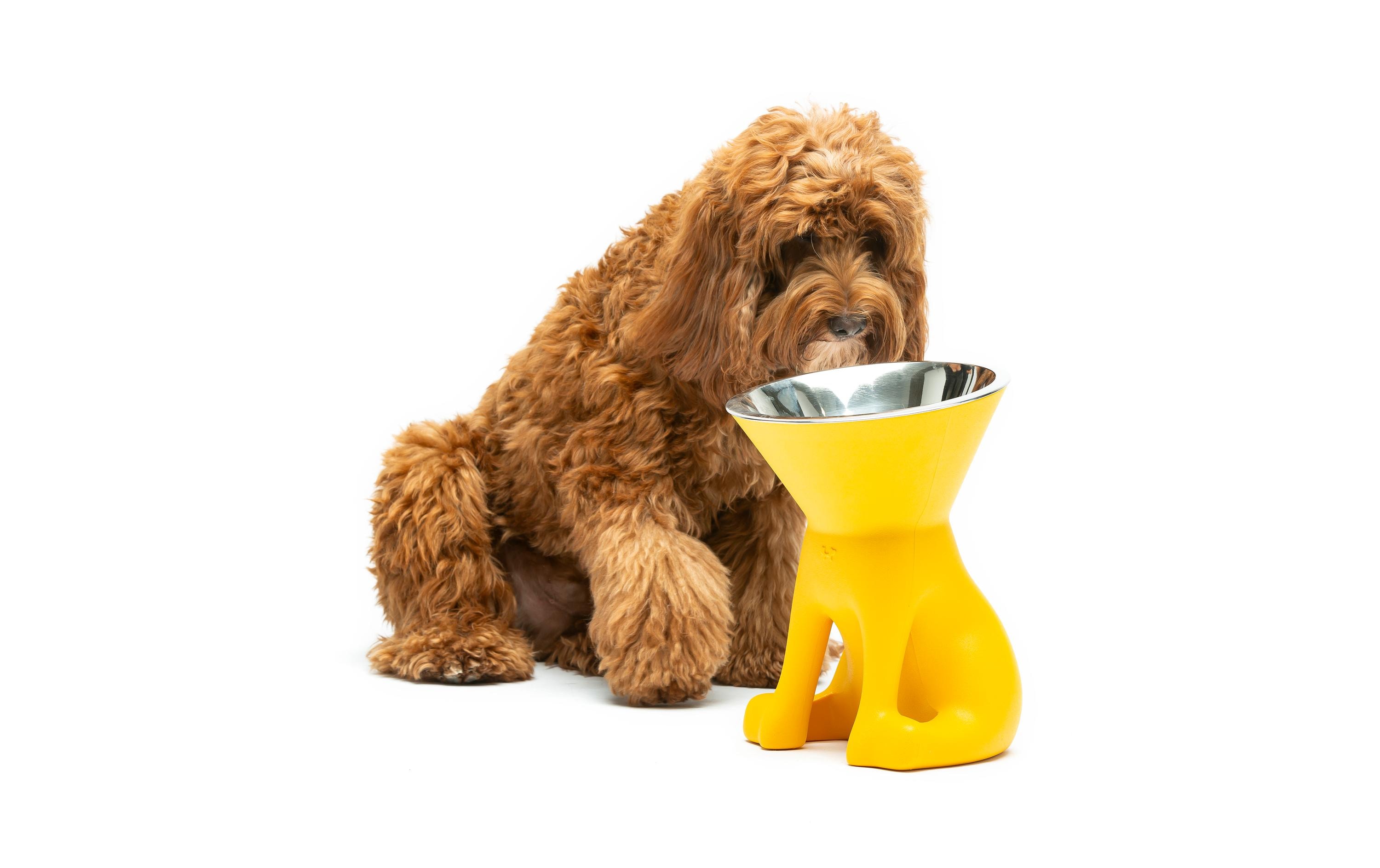 United Pets Hundenapf Elizabeth Gelb