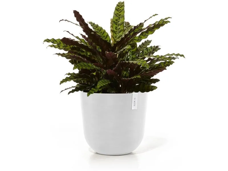 Ecopots Blumentopf Oslo Ø 45 cm Weiss Ecopots Blumentopf Oslo Ø 45 cm Weiss