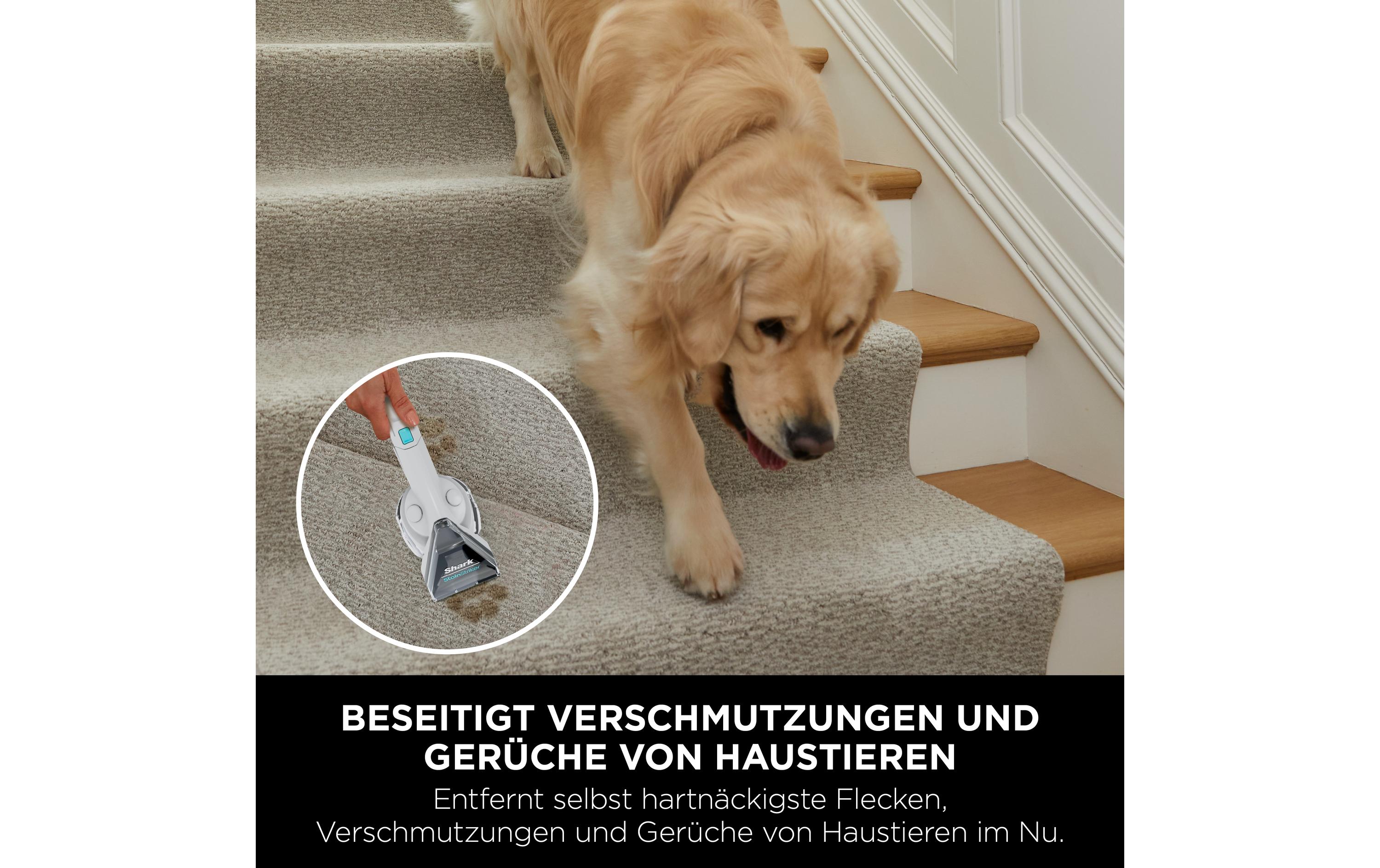 Shark StainStriker Flecken – und Polsterreiniger PX200EUT