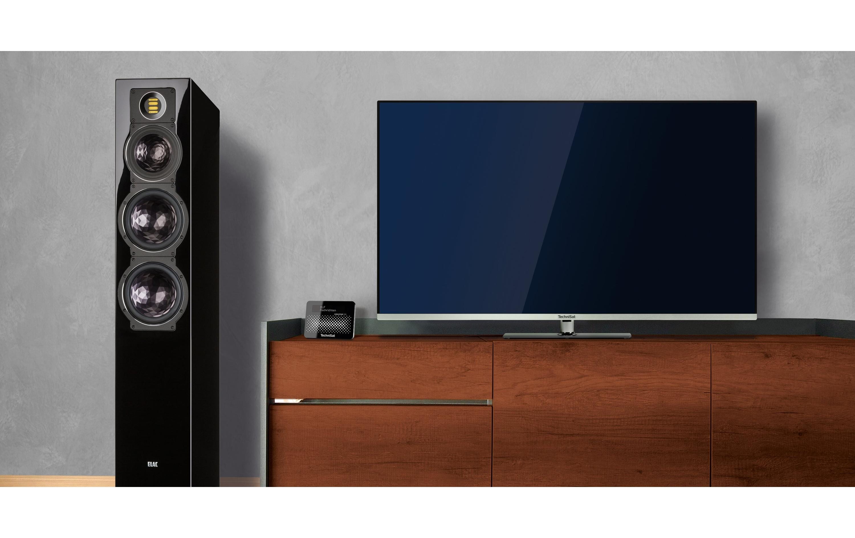 Technisat Radio-Tuner Cablestar 100 Schwarz